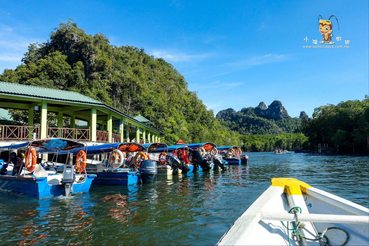 Jelajahi Hutan Bakau Langkawi yang Menakjubkan dalam Mangrove Tour