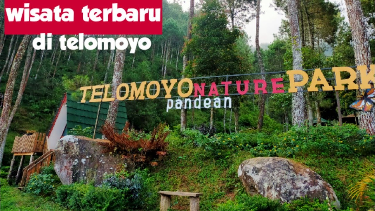 Telomoyo Nature Park: Petualangan Menakjubkan di Lereng Gunung